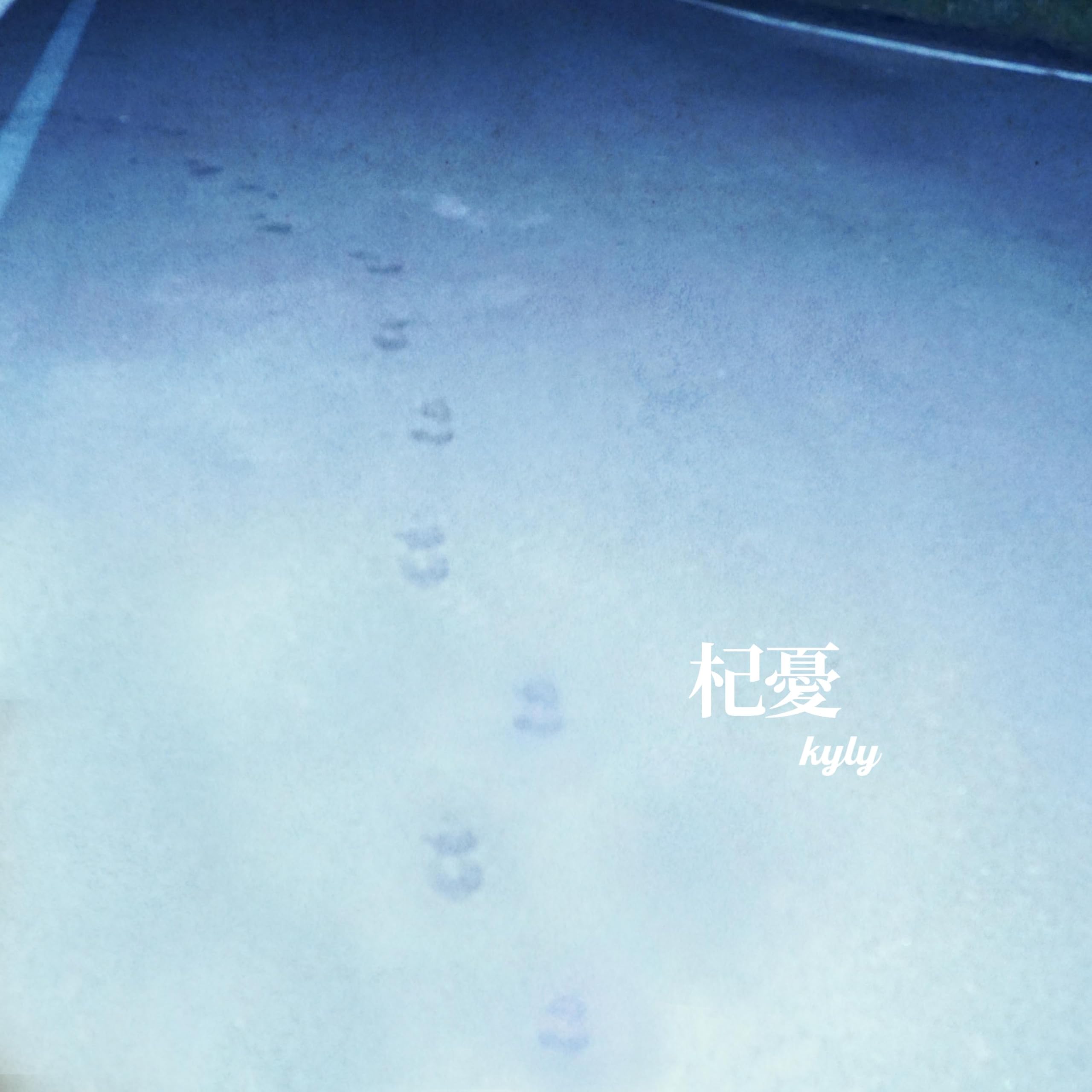 Image Cover